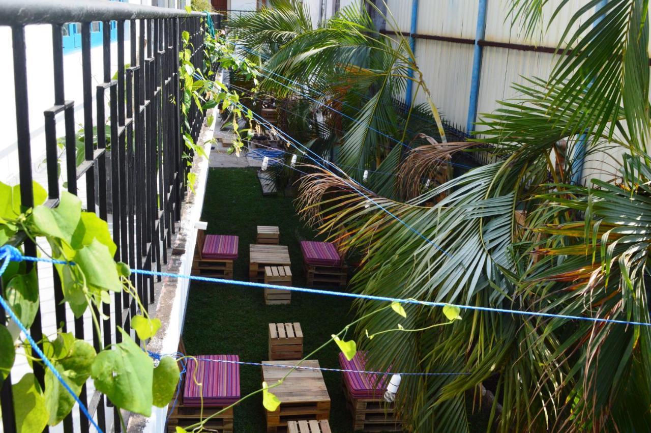 Groove House Hostelsコロンボ エクステリア 写真